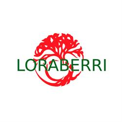 Horario de apertura LORABERRI, Portugalete
