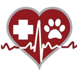 Horario de apertura Clínica Veterinaria Central Pet, Tudela de Duero