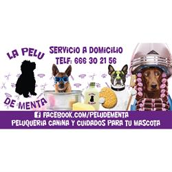 Horario de apertura La Pelu De Menta, Ambroz