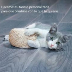 Horario de apertura Dura Tarimas Flotantes ,s.l., Novés