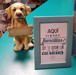Horario de apertura Clínica Veterinaria Fierecillas, Valladolid