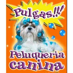 Horario de apertura Pulgas, Candelaria