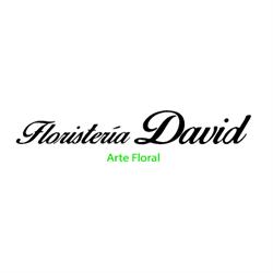 Floristería David 2 en Sevilla (Norte) - Horario de apertura