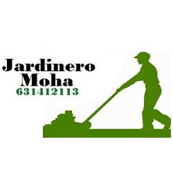 Horario de apertura MULTISERVECIOS QAMAR, Getafe