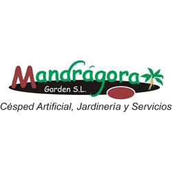 Horario de apertura Mandrágora, Playa Blanca
