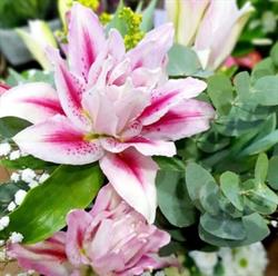 Horario de apertura Floristería Zinnia- Pinto,