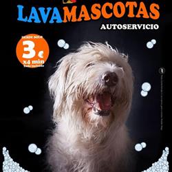 Horario de apertura Lava Mascotas Aluche, Madrid