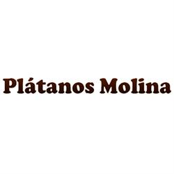 Horario de apertura Plátanos Molina, Alcázar de San Juan