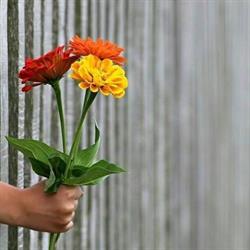 Horario de apertura Floristeria Flores Para Ti, Sevilla