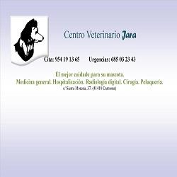 Horario de apertura Centro Veterinario Jara, Carmona