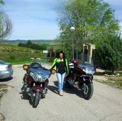 Horario de apertura Motos Ponce, Pozuelo de Alarcón