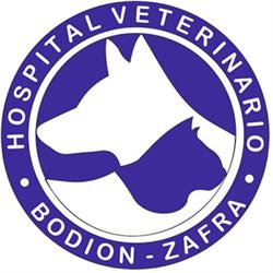 Horario de apertura HOSPITAL VETERINARIO BODION ZAFRA, Zafra