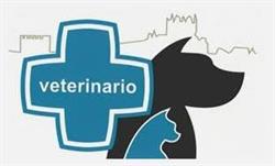 Horario de apertura La Clinica De Pablo, San Vicente de la Barquera