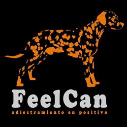 Horario de apertura Feelcan, Villaviciosa de Odón