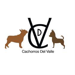 Horario de apertura Cachorros del Valle, Seseña Nuevo