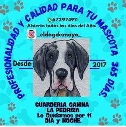 Horario de apertura Guardería Canina Madrid Centro, 