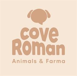 Horario de apertura Cove Román, Cantalejo