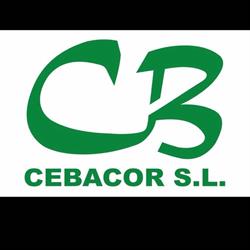 Horario de apertura Cebacor S L, Baza