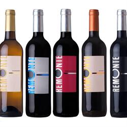 Horario de apertura Bodegas Campos de Enanzo, Murchante