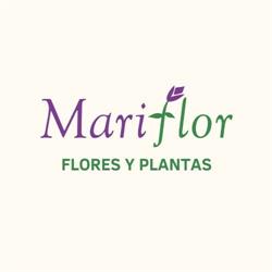 Horario de apertura Floristeria Flores y Plantas Mariflor, Barakaldo