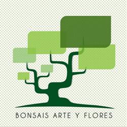 Horario de apertura Bonsai's Arte y Flores, Santa Cruz de Tenerife
