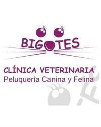 Horario de apertura Clinica Veterinaria Bigotes, Las Palmas de Gran Canaria