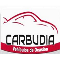 Car Budia en Córdoba (Sur) - Horario de apertura