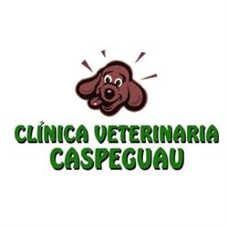 Horario de apertura Clínica Veterinaria Caspeguau, 