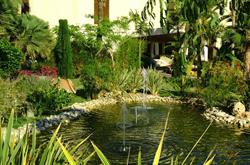 Horario de apertura Mantenimientos y Jardineria la Jara, Sant Joan d'Alacant
