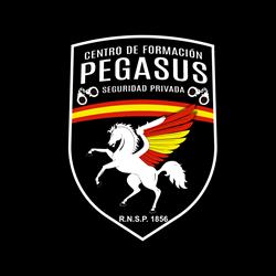 Horario de apertura Academia Pegasus Vigilante de Seguridad, Almería