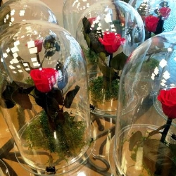 Floristería Santi: Herbas e Flores en A Coruña (Matogrande) - Horario de apertura