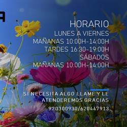 Horario de apertura Floristería Carmen, Arévalo