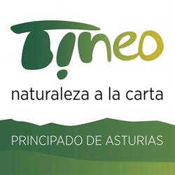 Horario de apertura Oficina de Turismo de Tinéu/Tineo, 