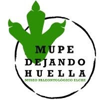 Horario de apertura Museo Paleontológico de Elche (MUPE), 