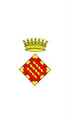 Horario de apertura Consell Comarcal Del Pallars Sobira, Sort