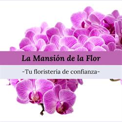 Horario de apertura La Mansión de la Flor, Roquetas de Mar