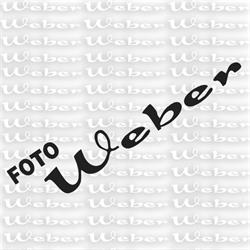 Horario de apertura Foto Weber, El Ejido