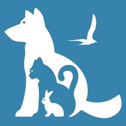 Horario de apertura Vetzoo Clínica Veterinària, Sabadell