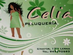 Horario de apertura Peluquería Celia, Lerma