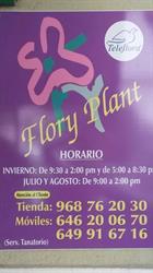 Horario de apertura Floryplant Cieza,