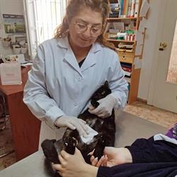 Horario de apertura Centro Veterinario Valencina, Valencina de la Concepción