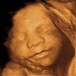 Horario de apertura Consulta de Ginecología y Obstetricia Dra. Aguilar Martín, Carmona