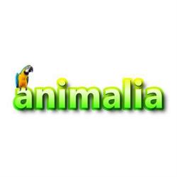 Horario de apertura Animalia Segovia, 