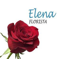 Horario de apertura Elena Florista, Estella