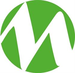 Horario de apertura Meseguer Servicios Inmobiliarios, Molina de Segura
