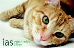 Horario de apertura CLINICA VETERINARIA IAS, Bilbao