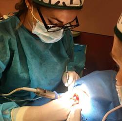 Horario de apertura Clínica Dental Berreteaga, Altsasu
