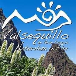 Horario de apertura Turismo Valsequillo, 