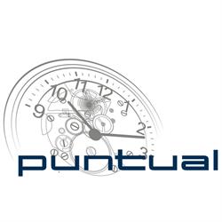 Horario de apertura Relojeria Puntual, Tudela