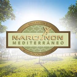 Horario de apertura Narconon Mediterraneo. Vive Sin Drogas, Alcalá de Guadaira